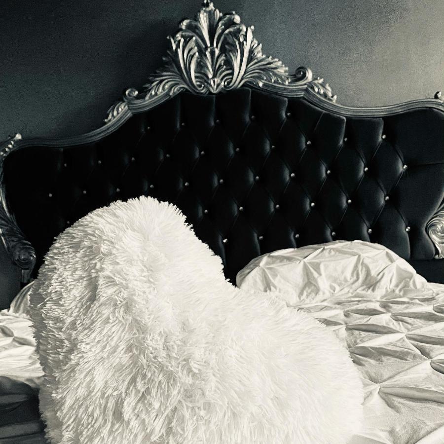 Hypolite Bed & Breakfast Avesnes-sur-Helpe Ngoại thất bức ảnh