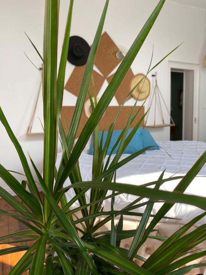 Hypolite Bed & Breakfast Avesnes-sur-Helpe Ngoại thất bức ảnh
